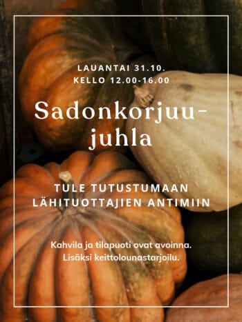 Sadonkorjuujuhla